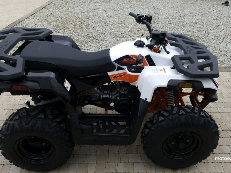 KAYO Inny SALON MOTOCYKLOWY MOTOEAGLES Kayo AU 180 Sprawdż ofertę i Serwis