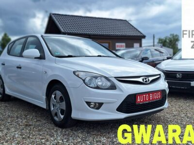 Hyundai i30 Klima Benzynka lift I (2002-2013)