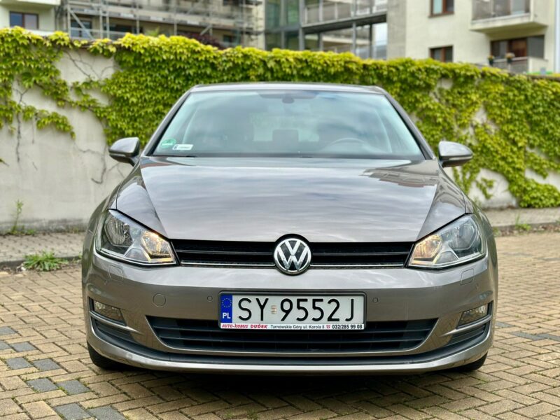 Volkswagen Golf Cup VII (2012-)
