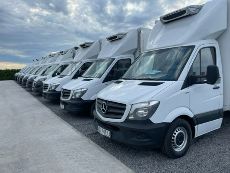 Renault Master SALON PL / CARRIER CHŁODNIA - MROŻNIA -15st.C / PRĄD 220V / 81 tys.km