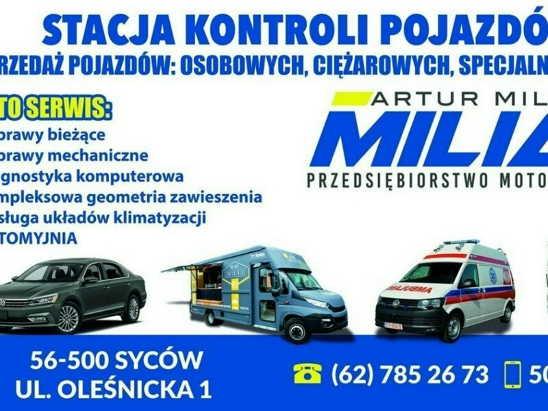 Ford Transit Ford Transit Klima Panel Kamera 167tkm Model 2022