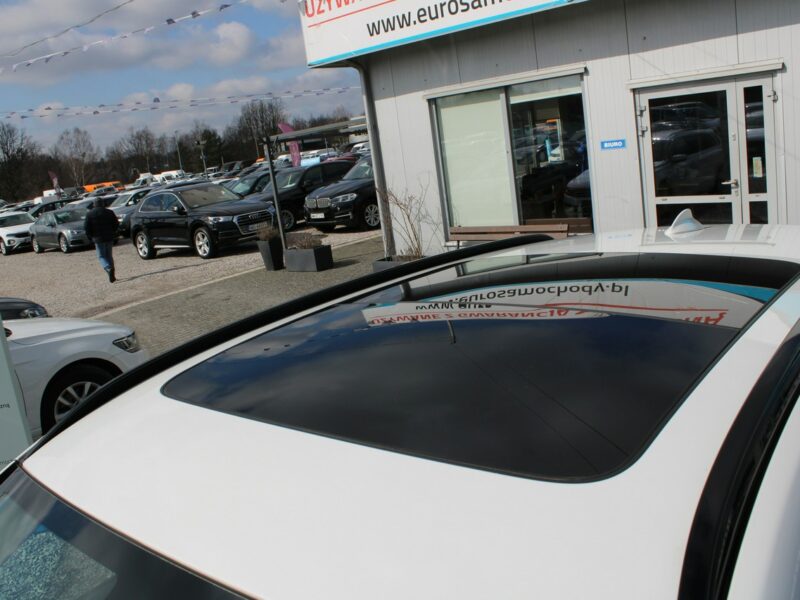 BMW X3 190HP X-Drive F-vat Salon Polska PANORAMA Gwarancja F25 (2010-)