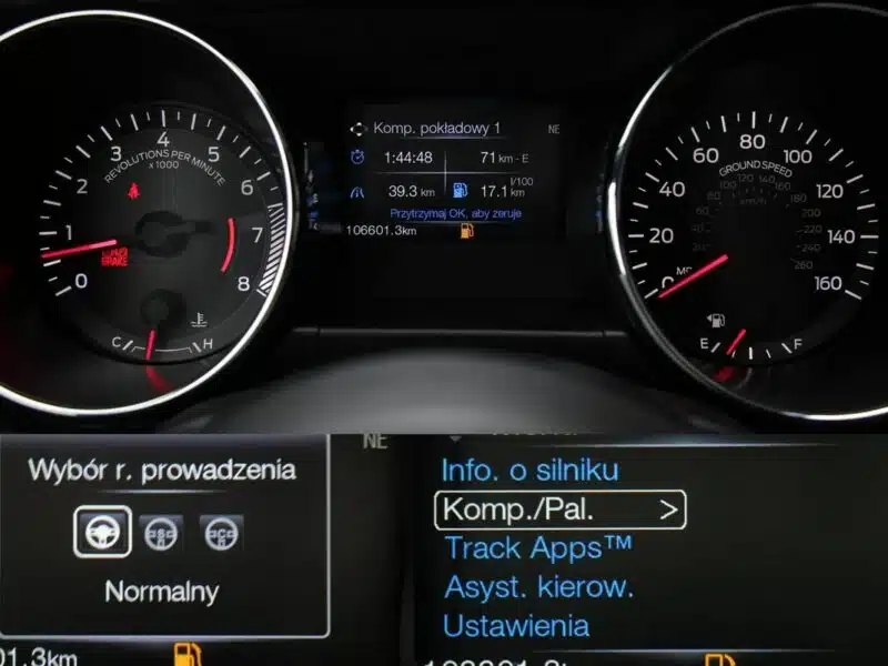 Ford Mustang 305KM*Manual*Xenon*Led*Kamera*Alu19*Komp*Temp*Klima*Wydech BORLA !!! VI (2014-)
