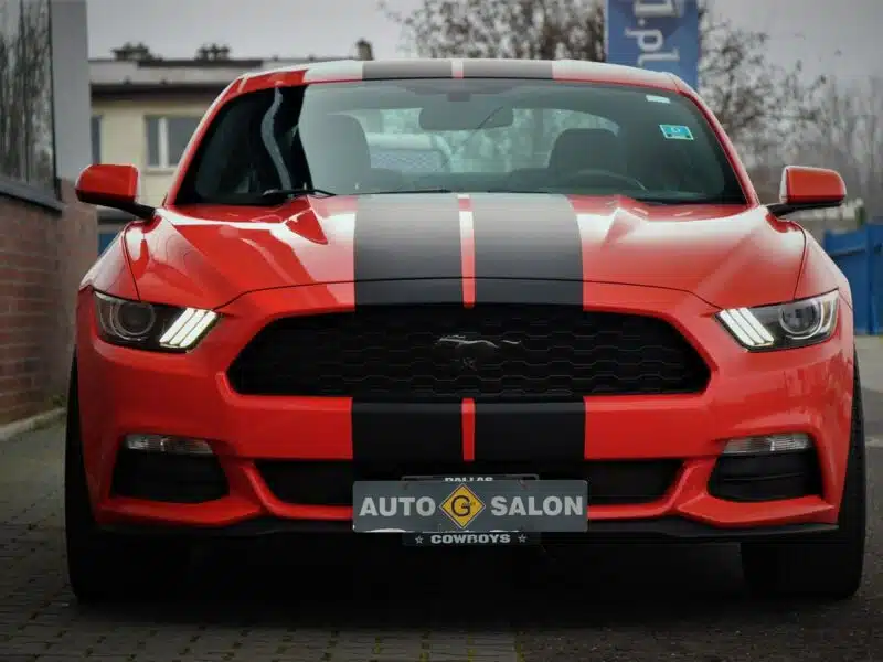 Ford Mustang 305KM*Manual*Xenon*Led*Kamera*Alu19*Komp*Temp*Klima*Wydech BORLA !!! VI (2014-)