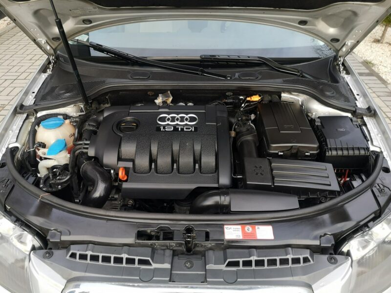 Audi A3 1.9 TDI 105KM # Klima # Elektryka # Po wymianie rozrządu 8P (2003-2012)