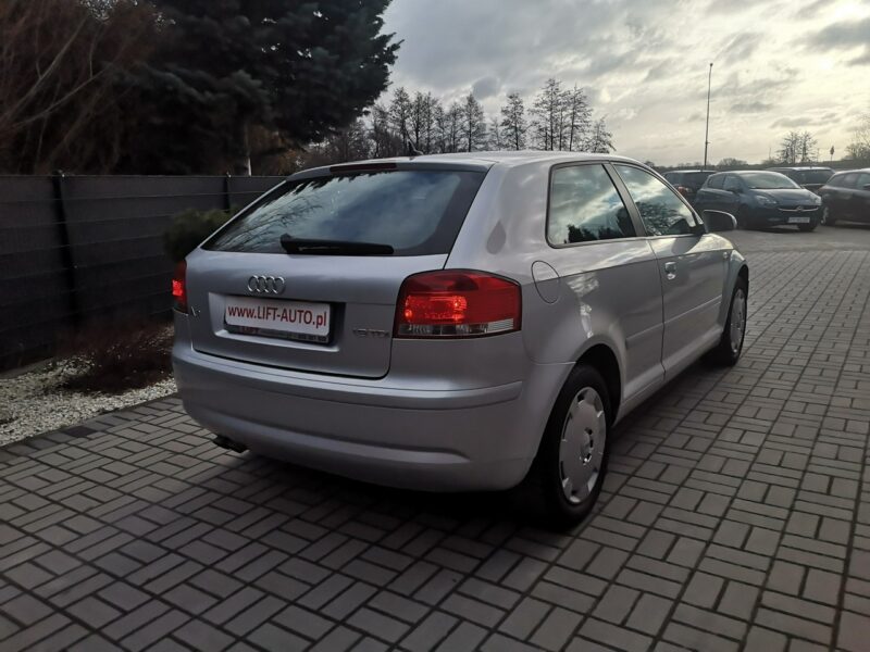 Audi A3 1.9 TDI 105KM # Klima # Elektryka # Po wymianie rozrządu 8P (2003-2012)