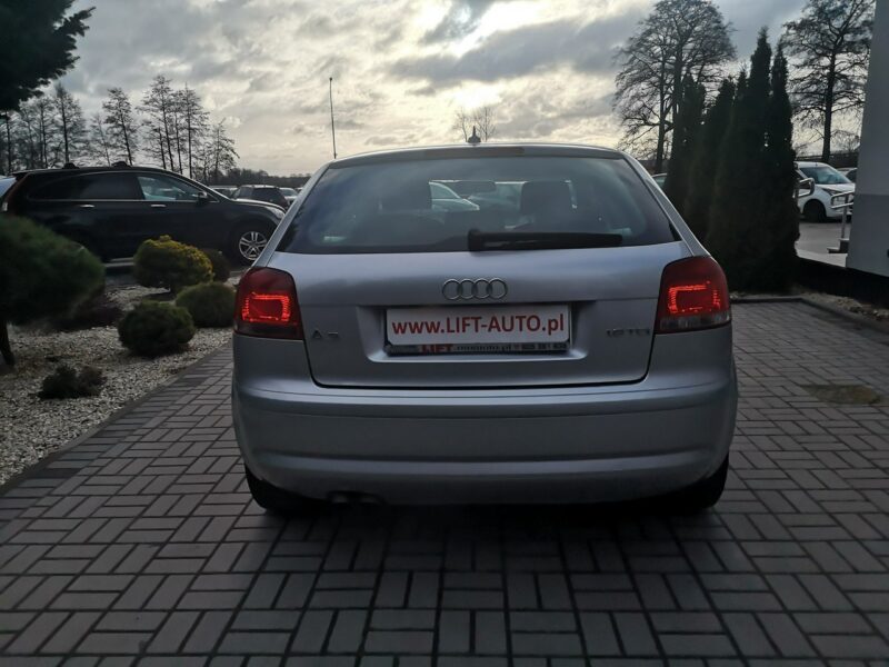 Audi A3 1.9 TDI 105KM # Klima # Elektryka # Po wymianie rozrządu 8P (2003-2012)