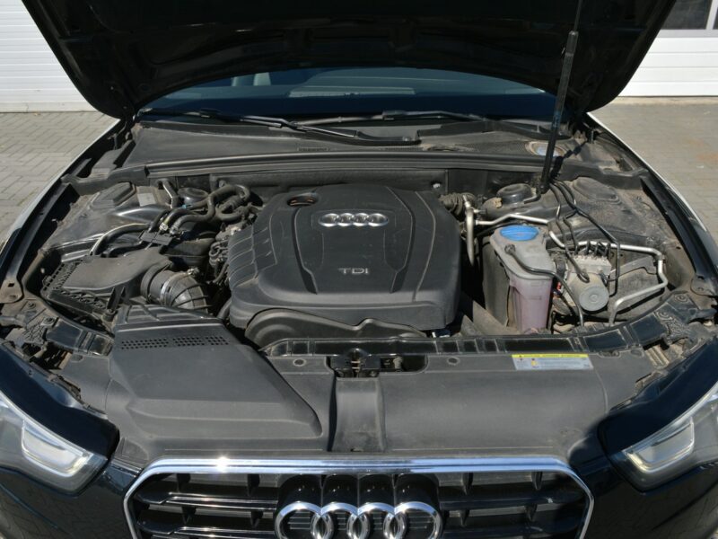 Audi A5 2.0 TDI COUPE Automat Serwis Bi-Xsenon LED Navi Skóra OKAZJA 8T (2007-2016)