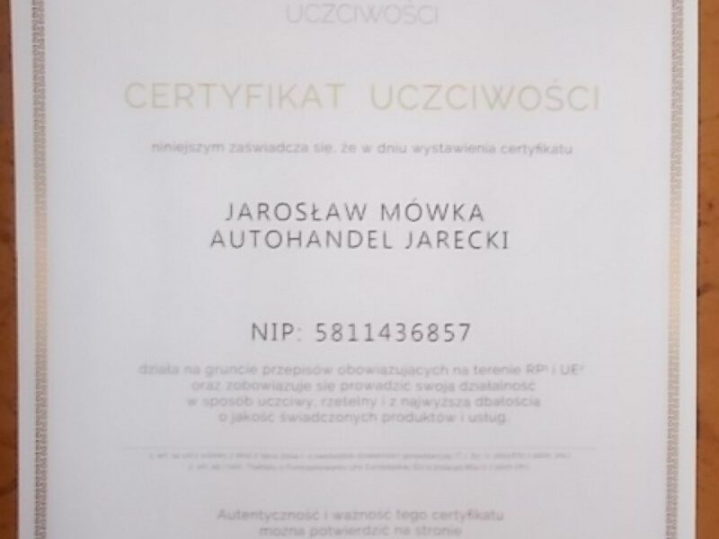 Seat Leon Opłacony Zdrowy Zadbany Serwisowany MPI z Klimatyzacją II (2005-2012)