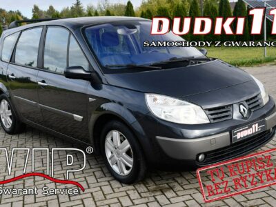 Renault Grand Scenic 2,0b DUDKI11 7 Foteli,Panorama Dach.El.szyby.kredyt.OKAZJA I (2003-2009)