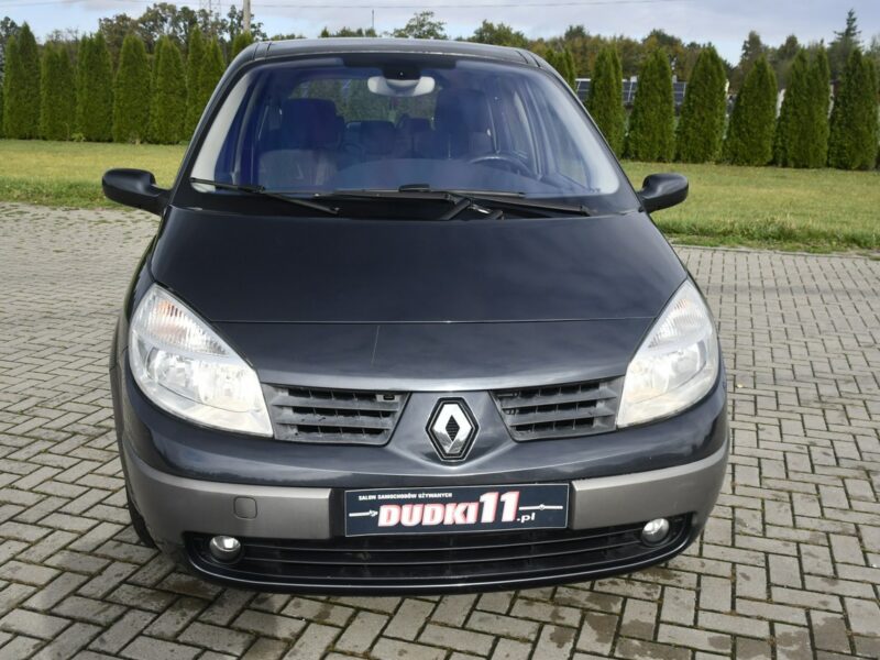 Renault Grand Scenic 2,0b DUDKI11 7 Foteli,Panorama Dach.El.szyby.kredyt.OKAZJA I (2003-2009)
