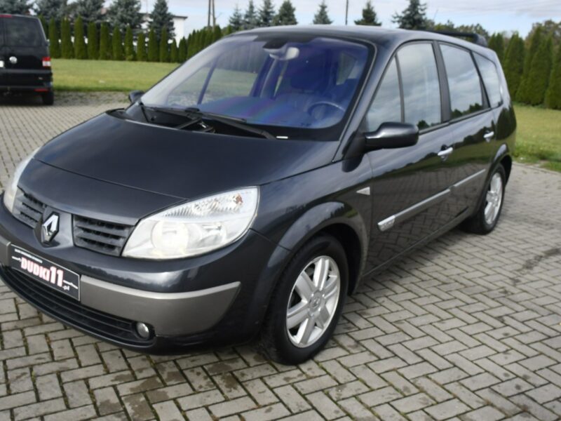 Renault Grand Scenic 2,0b DUDKI11 7 Foteli,Panorama Dach.El.szyby.kredyt.OKAZJA I (2003-2009)