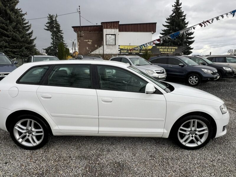 Audi A3 Lift / Ledy * 1.4 Benzyna * Gwarancja w cenie * Przebieg 204*ZAREJ.PL 8P (2003-2012)