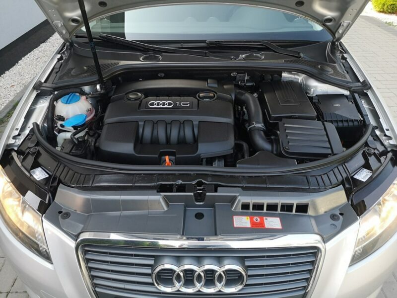 Audi A3 1.6 MPI 102KM SPORTBACK Klimatronic Isofix Alu Serwis Gwarancja 8P (2003-2012)