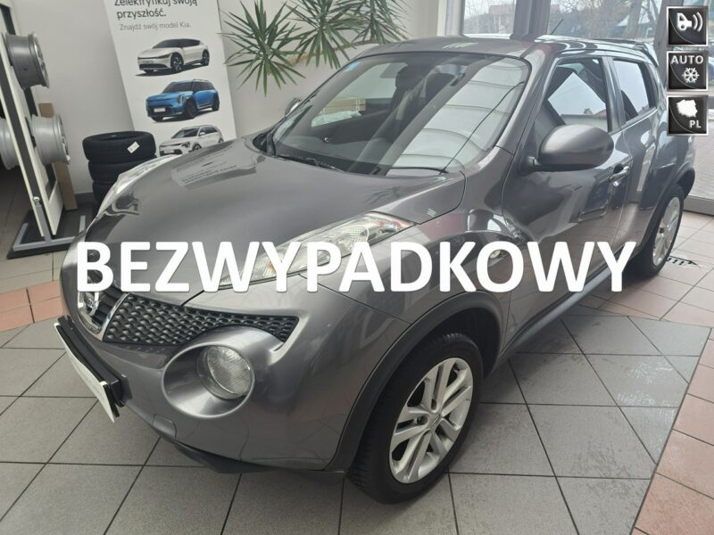 Nissan Juke Krajowy, Bezwypadkowy, 1.6 Benzyna, Bezawaryjny I (2010-2019)