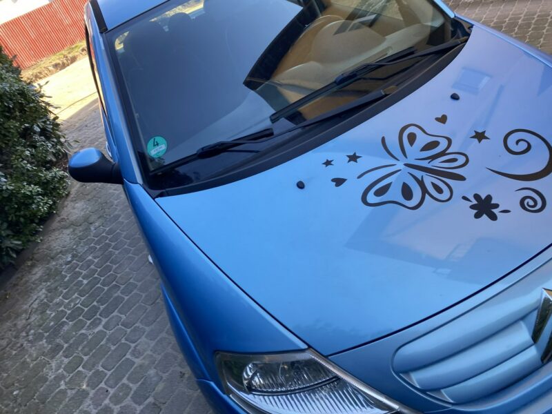Citroen C3 Exclusive, benzyna mocna, klimatronik, składane lusterka, isofix, I (2002-2009)