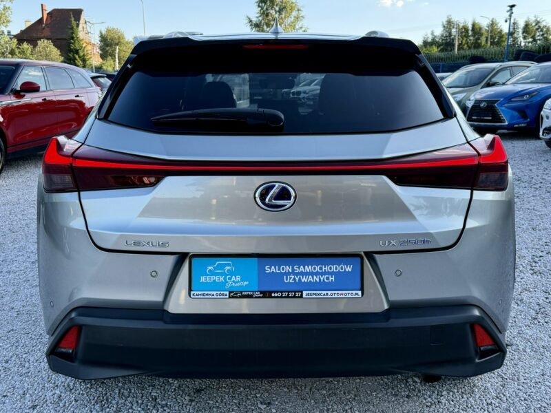 Lexus UX 250h,Hybryda,Gwarancja
