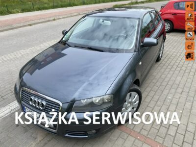Audi A3 1,4 T 125KM ,podgrz. fotele, klimatronik, isofix, czujniki parkowania 8P (2003-2012)