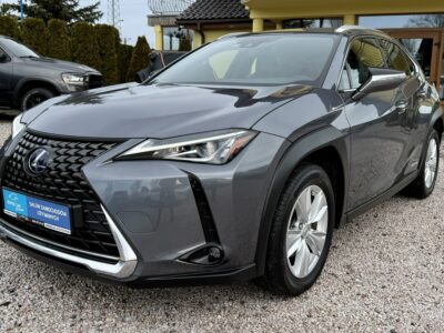 Lexus UX 250h,Hybryda,Idealny,Gwarancja