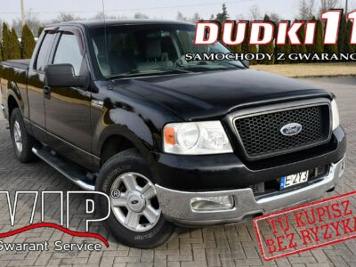 Ford F150 5,4Benz. Automat.Hak.Centralka,El.szyby.El.Lusterka.5 Osób. XI (2004-2008)