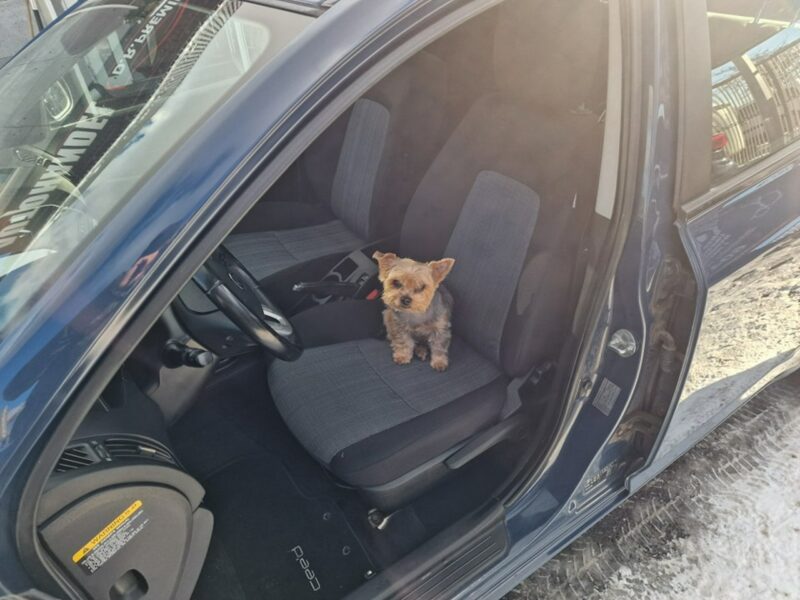 Kia Cee'd 1.4 Benzyna 90 KM, Po Lifcie Klimatyzacja, Isofix, Bluetooth, Komputer I (2006-2012)