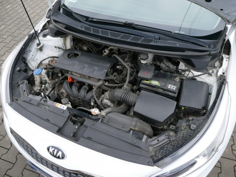 Kia Cee'd 1.4 DOHC 100KM -Krajowy +Nowe opony wielosezon -Zobacz II (2012-)