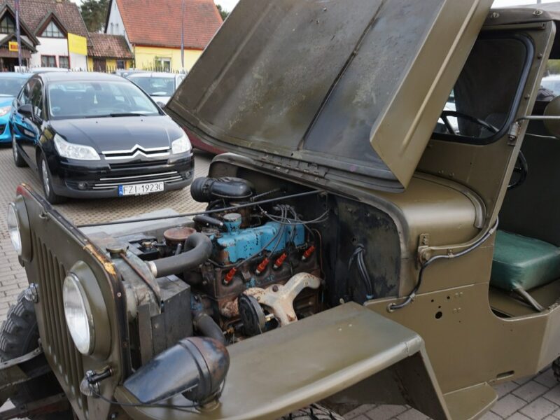 Jeep Willys zarejestrowany w Polsce.