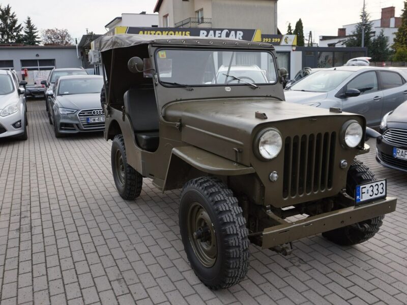 Jeep Willys zarejestrowany w Polsce.