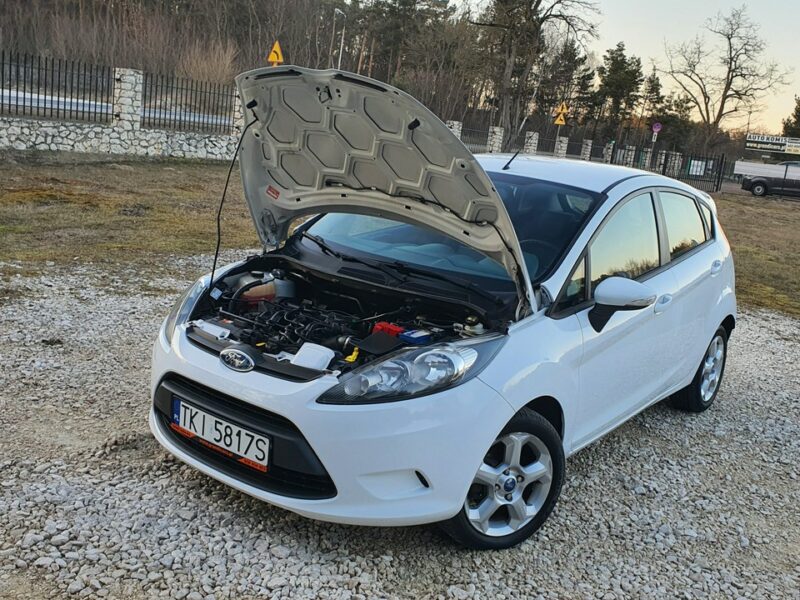 Ford Fiesta 1.25 60KM # Klima # Serwisowany # Super Stan # BIAŁA !!! Mk7 (2008-)
