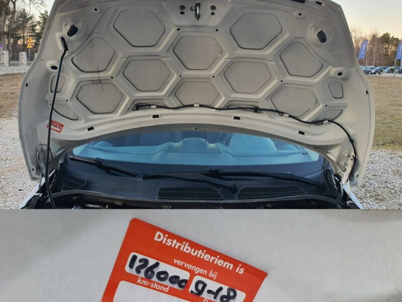 Ford Fiesta 1.25 60KM # Klima # Serwisowany # Super Stan # BIAŁA !!! Mk7 (2008-)