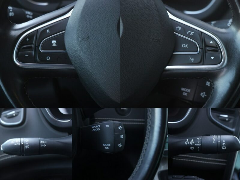 Renault Grand Scenic Radar*PółSkóra*Navi*AsysToru*Blis*Kamera*Pdc360*TempACC*Komp*GwarVGS III (2016-2021)