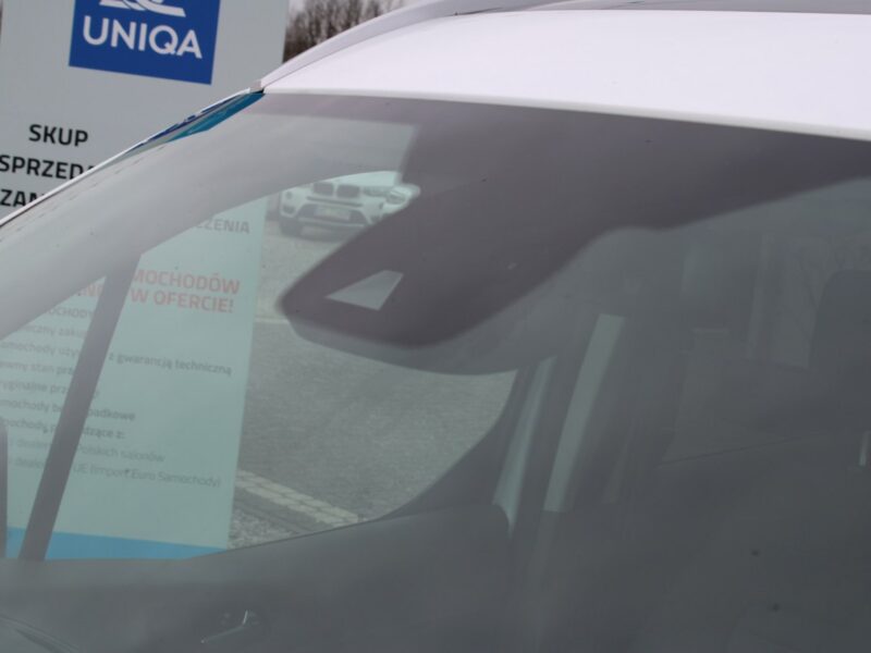 Ford Tourneo Connect Titanium 120HP Panorama F-vat Gwarancja Krajowy II (2013-2022)