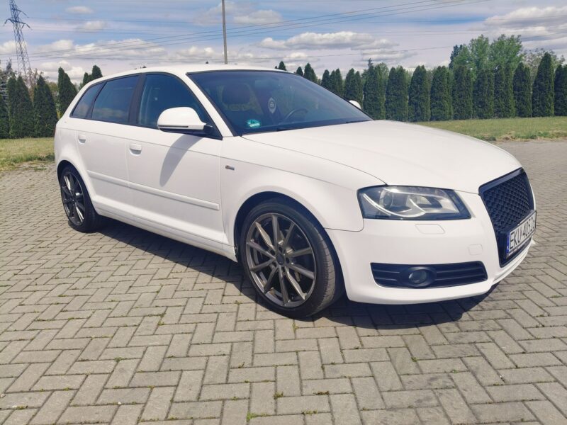 Audi A3 1.8Turbo S-Line,Serwis ( Full ) Navi,Pół-Skóry.Xenony.Klimatr 2 str. 8P (2003-2012)