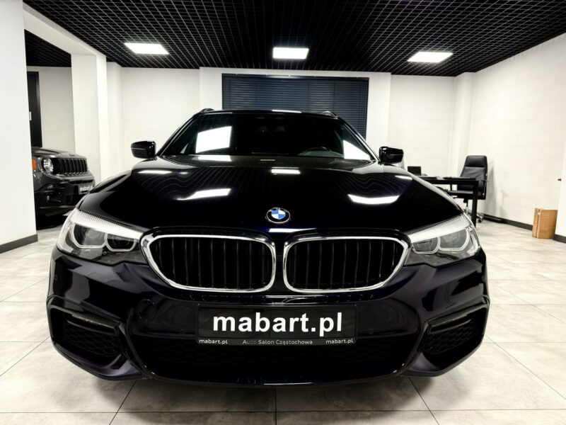BMW 520 520d 190KM*INDIVIDUAL*M SPORT*ShadowLine*Professional*Sportsitze*Ideał G30/G31 (2017-2023)