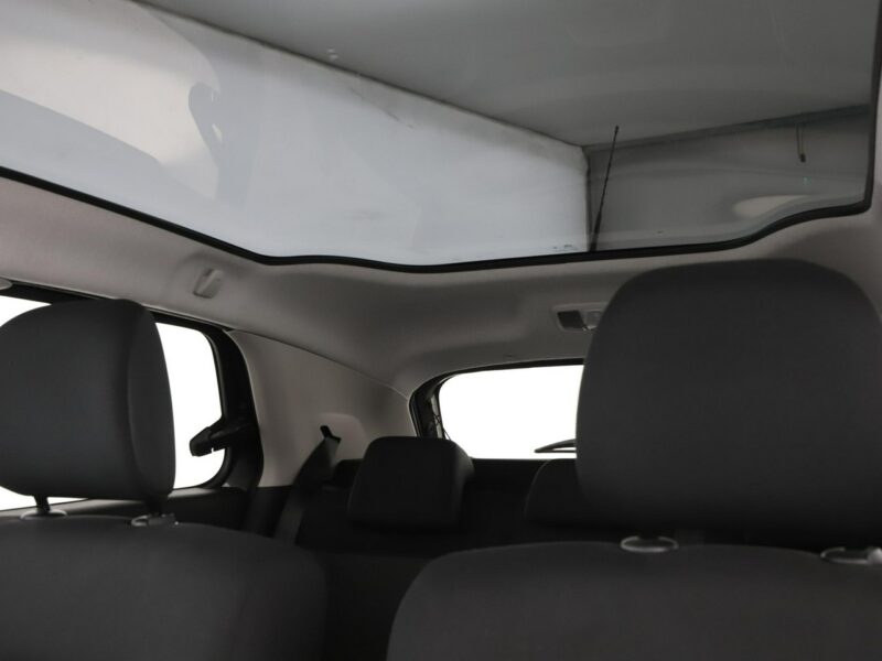Citroen C4 Cactus navi PDC panorama Bluetooth tempomat I (2014-)