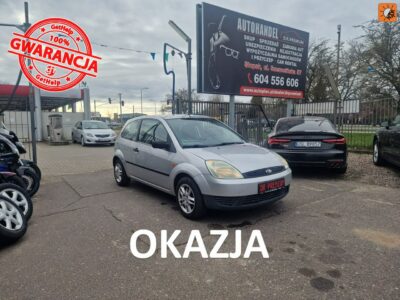 Ford Fiesta 1.3 Benzyna 60 KM, Kliamtyzacja, Alufelgi, USB, AUX, Lakier Metaliczny Mk6 (2002-2008)