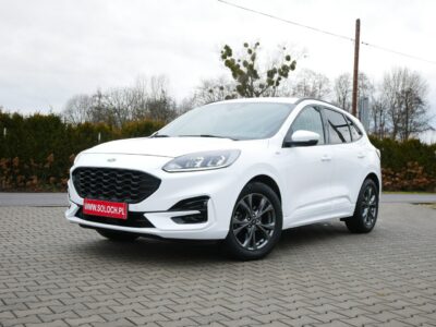 Ford Kuga 1.5 EcoBlue 120KM Eu6 St-Line -Automat 8b. - Zobacz III (2019-)