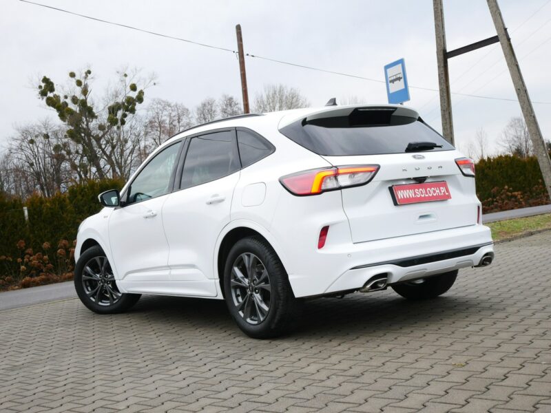 Ford Kuga 1.5 EcoBlue 120KM Eu6 St-Line -Automat 8b. - Zobacz III (2019-)