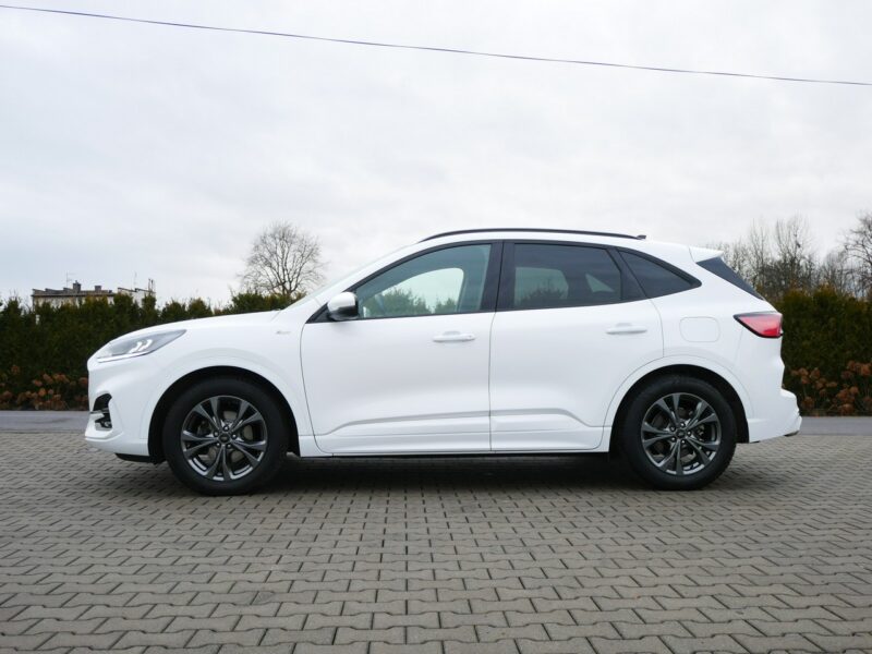 Ford Kuga 1.5 EcoBlue 120KM Eu6 St-Line -Automat 8b. - Zobacz III (2019-)