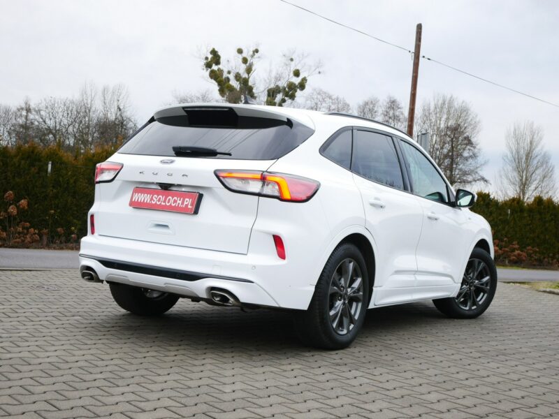 Ford Kuga 1.5 EcoBlue 120KM Eu6 St-Line -Automat 8b. - Zobacz III (2019-)