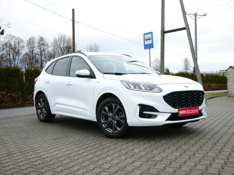 Ford Kuga 1.5 EcoBlue 120KM Eu6 St-Line -Automat 8b. - Zobacz III (2019-)