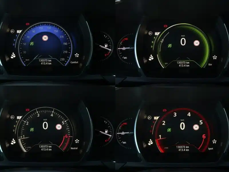 Renault Scenic Full Led*Navi*AsysToru*MartwePole*Kamera*Pdc360*Alu20*Android*Gwar VGS IV (2016-)
