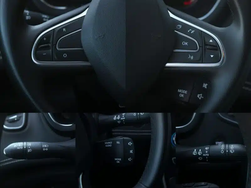 Renault Scenic Full Led*Navi*AsysToru*MartwePole*Kamera*Pdc360*Alu20*Android*Gwar VGS IV (2016-)