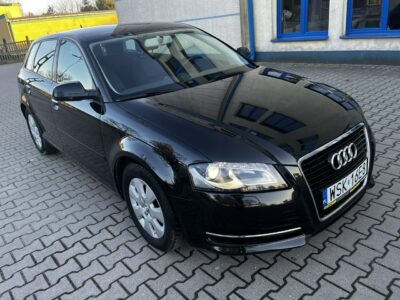 Audi A3 Audi A3 Lift 1.6Tdi 2012r Xenon Led Sportback Alufelgi Hak Climatronic 8P (2003-2012)