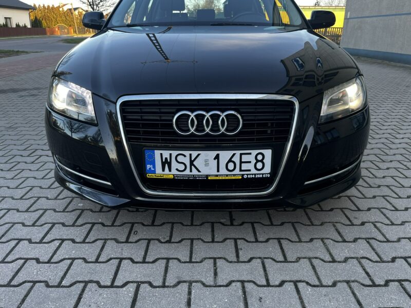 Audi A3 Audi A3 Lift 1.6Tdi 2012r Xenon Led Sportback Alufelgi Hak Climatronic 8P (2003-2012)
