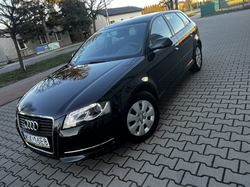 Audi A3 Audi A3 Lift 1.6Tdi 2012r Xenon Led Sportback Alufelgi Hak Climatronic 8P (2003-2012)