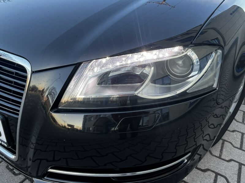 Audi A3 Audi A3 Lift 1.6Tdi 2012r Xenon Led Sportback Alufelgi Hak Climatronic 8P (2003-2012)