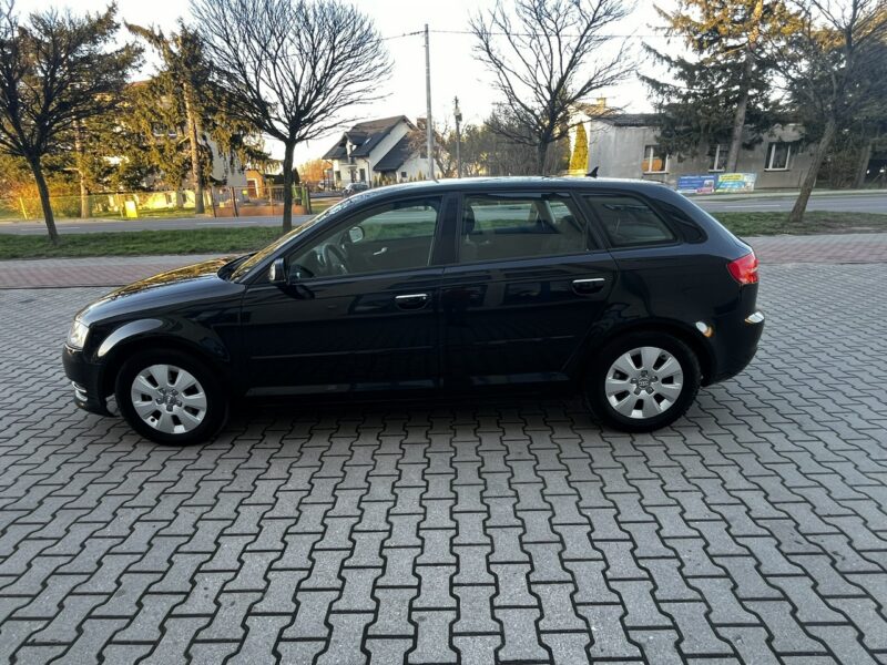 Audi A3 Audi A3 Lift 1.6Tdi 2012r Xenon Led Sportback Alufelgi Hak Climatronic 8P (2003-2012)