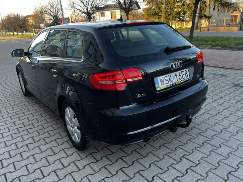 Audi A3 Audi A3 Lift 1.6Tdi 2012r Xenon Led Sportback Alufelgi Hak Climatronic 8P (2003-2012)