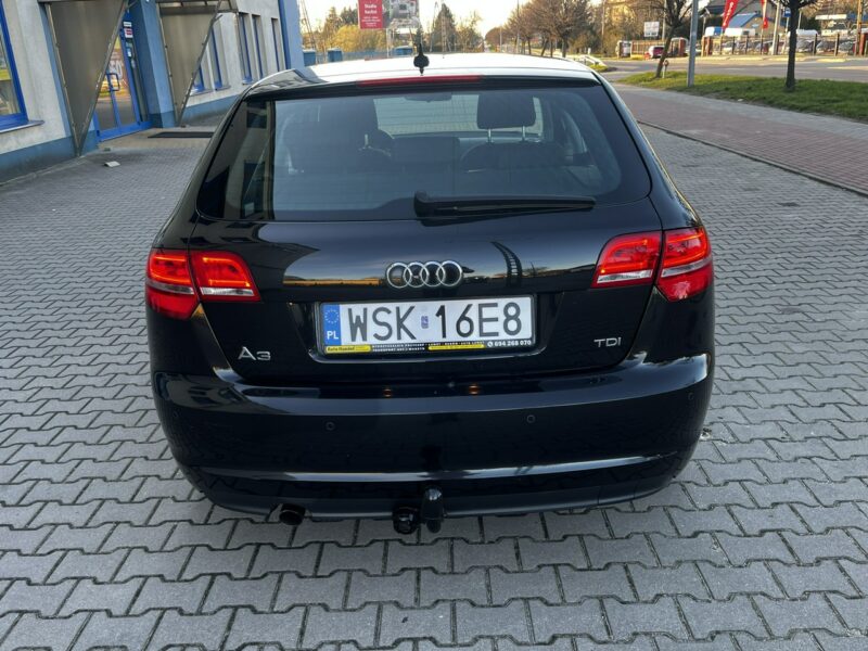 Audi A3 Audi A3 Lift 1.6Tdi 2012r Xenon Led Sportback Alufelgi Hak Climatronic 8P (2003-2012)